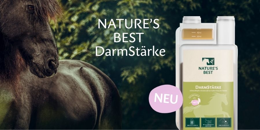 Nature's Best DarmStärke Kräutersaft für Pferde mit ausgewählten Kräutern, getreide- und melassefrei